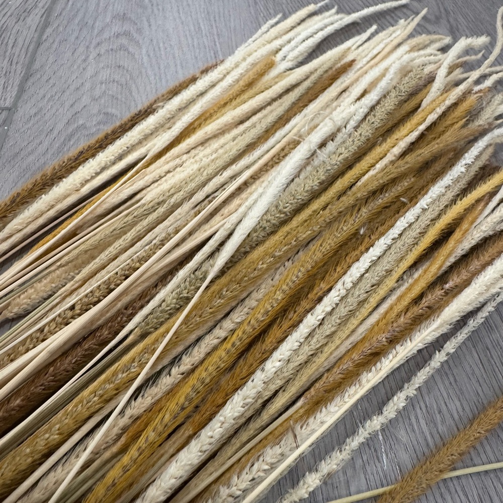 60 Dried Reed Grass